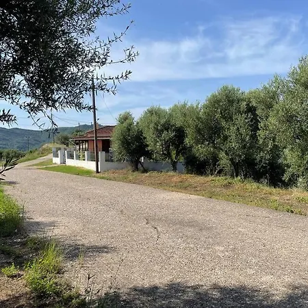 Greengold Holiday - Ancient Pisa *