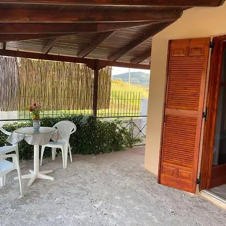 Greengold Holiday - Ancient Pisa * Ancient Olympia