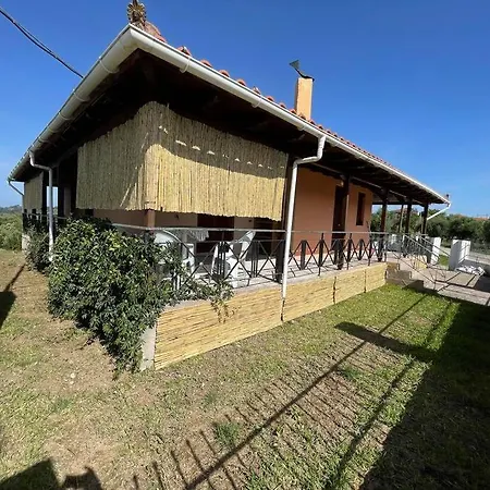 Greengold Holiday - Ancient Pisa Ancient Olympia