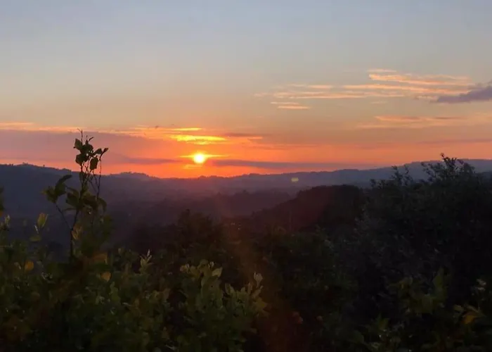 Greengold Holiday - Ancient Pisa